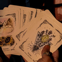 Load image into Gallery viewer, Tarot of the Woodland Wardens

