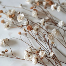 Load image into Gallery viewer, Spring Equinox Celebration
