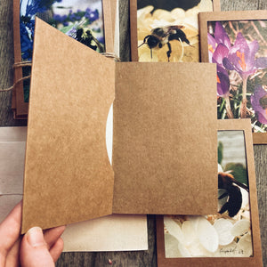 Bee Greeting Cards with Seed Envelopes