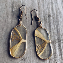 Load image into Gallery viewer, Honeysuckle &amp; Gold Oval Earrings
