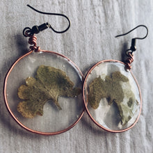 Load image into Gallery viewer, Ginkgo Leak &amp; Copper Earrings
