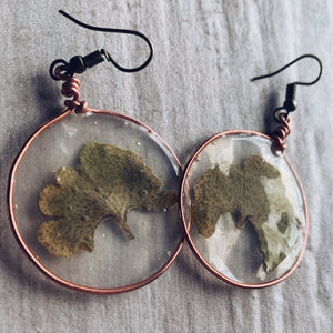 Ginkgo Leak & Copper Earrings