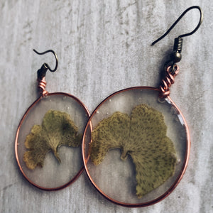 Ginkgo Leak & Copper Earrings