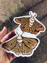 Load image into Gallery viewer, Moth Babies Vinyl Decal
