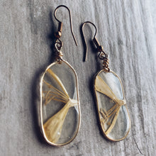 Load image into Gallery viewer, Honeysuckle &amp; Gold Oval Earrings
